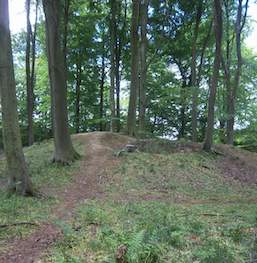 Bronze Age Bowl Barrow, Michelderver