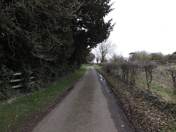 Country lane